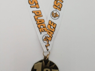 A gold medal with the text '1st' on a circular design, attached to a white ribbon that reads '1st Place' with basketball graphics.