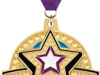 A gold cheerleading medal with a star design in the center and the word 'CHEER' written across it, attached to a purple ribbon.
