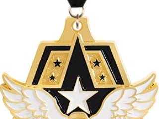 A gold sports medal with a design featuring a winged sneaker and a star, suspended from a black ribbon.