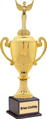 A gold sports trophy cup with two ornate handles, topped by a winged figure, mounted on a black base featuring an engraved plaque.