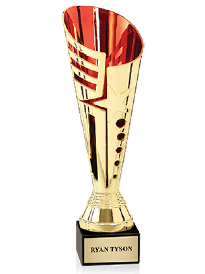 Gold sports trophy cup with decorative star design and red interior, mounted on a black base with a nameplate reading 'RYAN TYSON'.