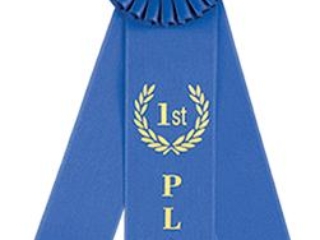 A blue first place award ribbon with gold lettering and a rosette top.