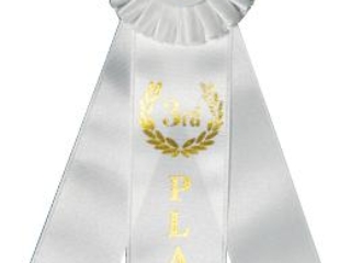 A white award ribbon with gold lettering that reads "2nd PLACE," featuring a rosette at the top.
