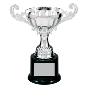 6 1/2" Completed Metal Cup Trophy on Plastic Base
