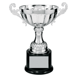 8 1/2" Completed Metal Cup Trophy on Plastic Base
