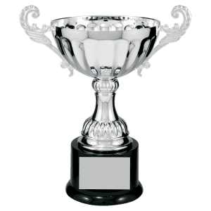 9 3/4" Completed Metal Cup Trophy on Plastic Base