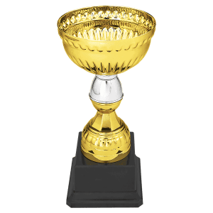 7" Gold & Silver Metal Cup with Plastic Stem and Base