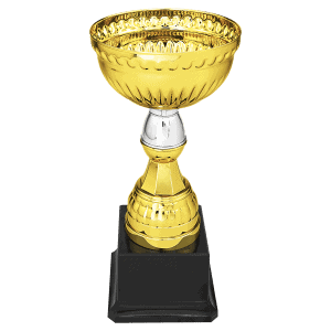 8" Gold & Silver Metal Cup with Plastic Stem and Base