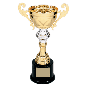 8 3/4" Completed Metal Cup Trophy on Plastic Base
