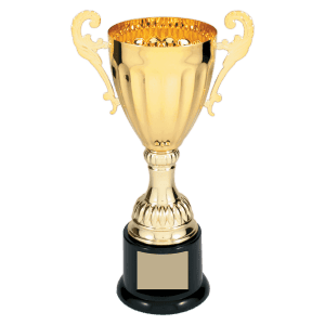 8 3/4" Completed Metal Cup Trophy on Plastic Base