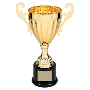 9 3/4" Completed Metal Cup Trophy on Plastic Base