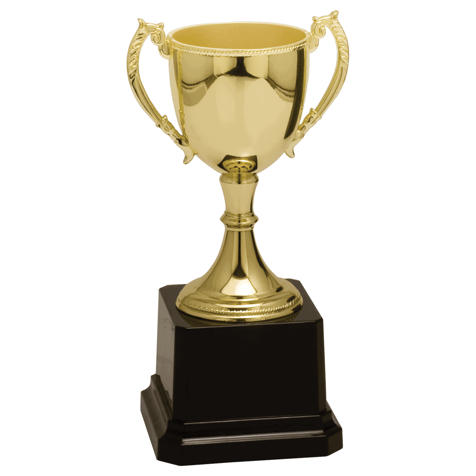 6 3/4" Completed Zinc Cup Trophy