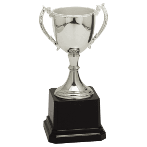 6 3/4" Completed Zinc Cup Trophy