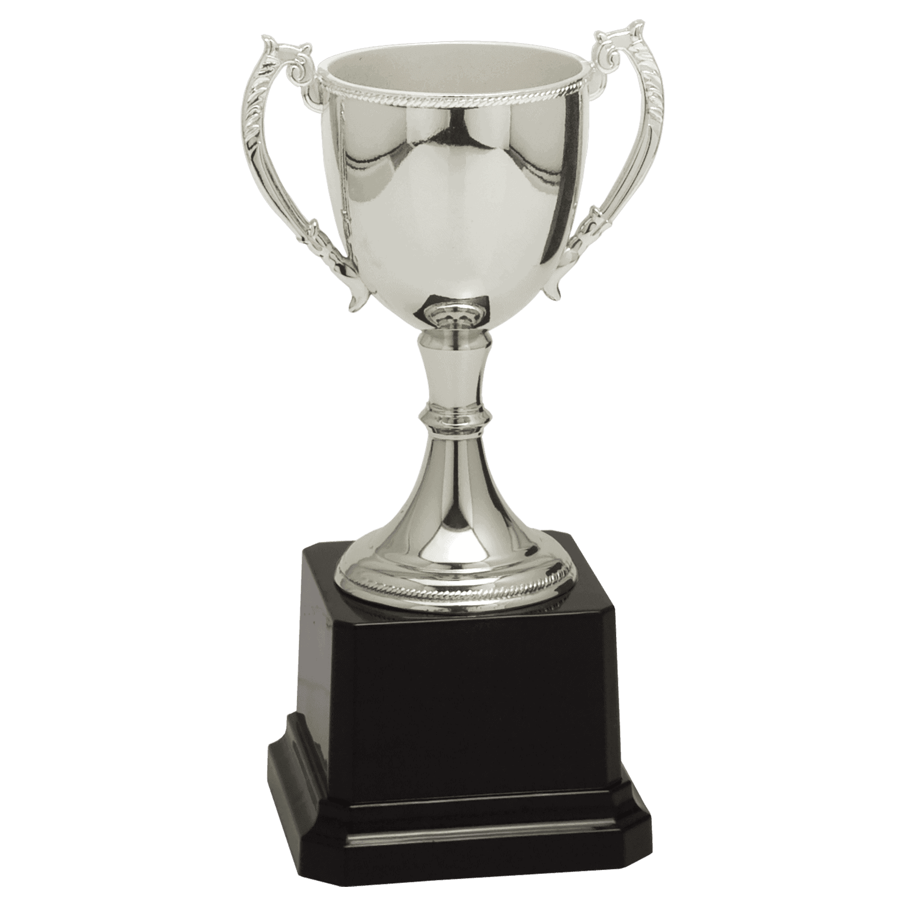 6 3/4" Completed Zinc Cup Trophy