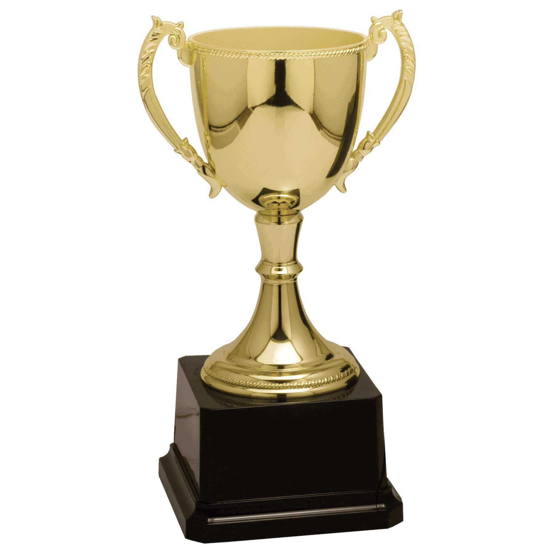 8 3/4" Completed Zinc Cup Trophy