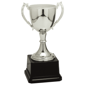 8 3/4" Completed Zinc Cup Trophy