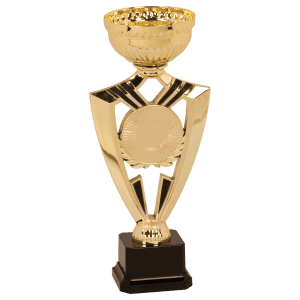 9 5/8" Gold Ribbon 2" Insert Holder Easy Cup Kit