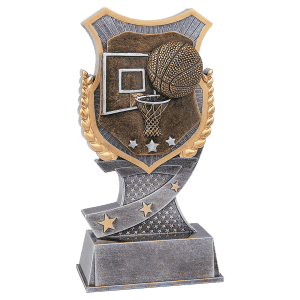 6" Basketball Shield Award
