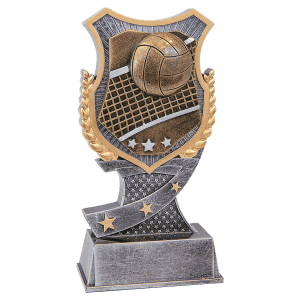 6" Volleyball Shield Award