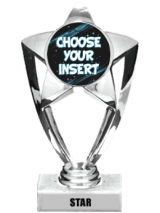Trophy - Silver Insert Star