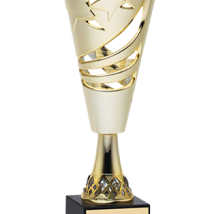 2004-1 Classic Cup
