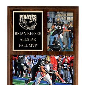 Plaques