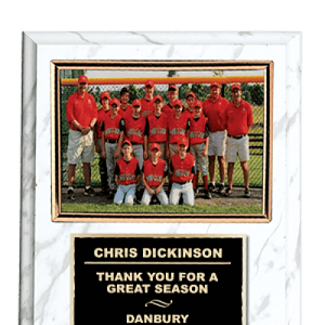 254W plaque