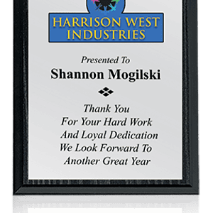 303bs Color Plaque