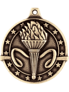 Medal - 3D Diecast Achievement Award