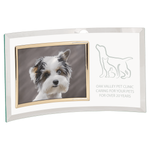 13" x 7 1/2" Jade Glass Crescent with 7" x 5" Picture Frame