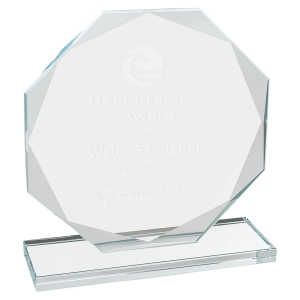 6 1/2" Octagon Clear Glass Award