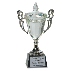 11 1/4" Crystal Cup with Silver Handles and Stem