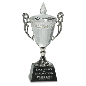 8" Crystal Cup with Silver Handles and Stem