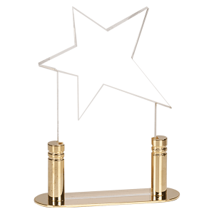 Small Clear Star Acrylic with Brass Base